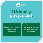 Brandos egzamino (BE) užduoties pavyzdys