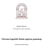 Mokomoji metodinė knyga „Vikrumo kopėtėlės fizinio ugdymo pamokoje“