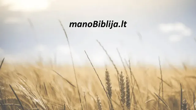 manoBiblija.lt